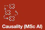 Causality (MSc AI)